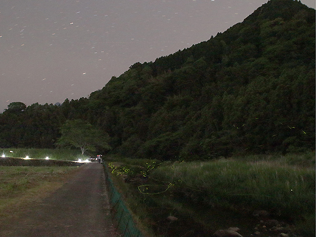 東温市雨滝ホタルの里の写真