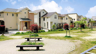 ���C���ʐ^