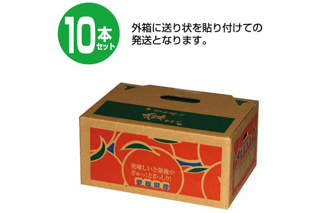 ちゅうちゅうゼリー 10本セット