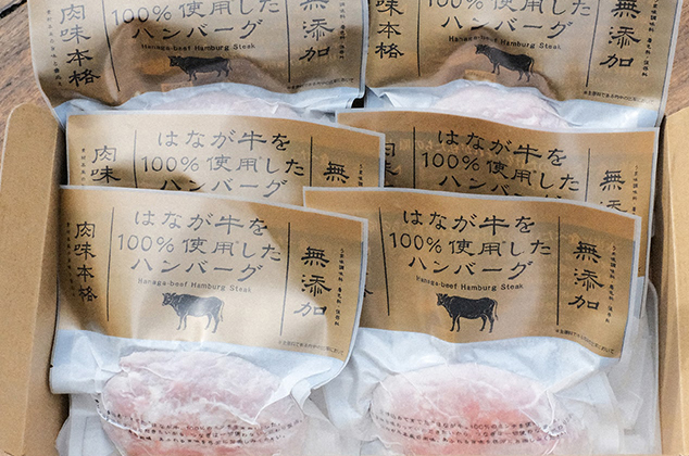 はなが牛ハンバーグセット