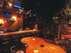 JUNGLE BAR LION