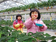 久万農業公園アグリピア