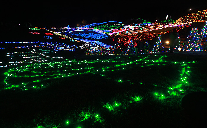 国営讃岐まんのう公園 ウィンターファンタジー写真。撮影：2016年11月26日