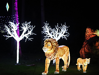 とべZOO グラデーション・イルミネーション