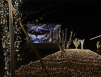 いとまちクリスマスイルミネーション