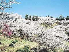 開山公園