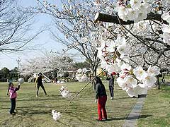 小松中央公園