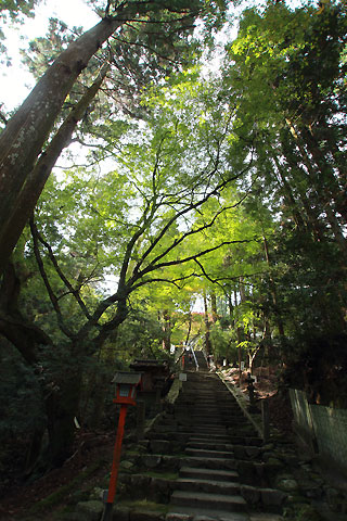 西山興隆寺の境内。まだ紅葉は色づいておらず。2016年11月16日（水）11：40撮影