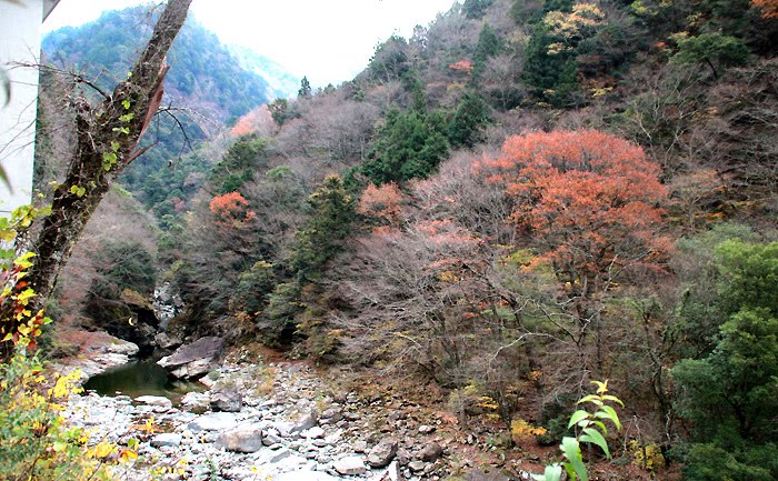 面河山岳博物館付近にて。2016年11月23日撮影