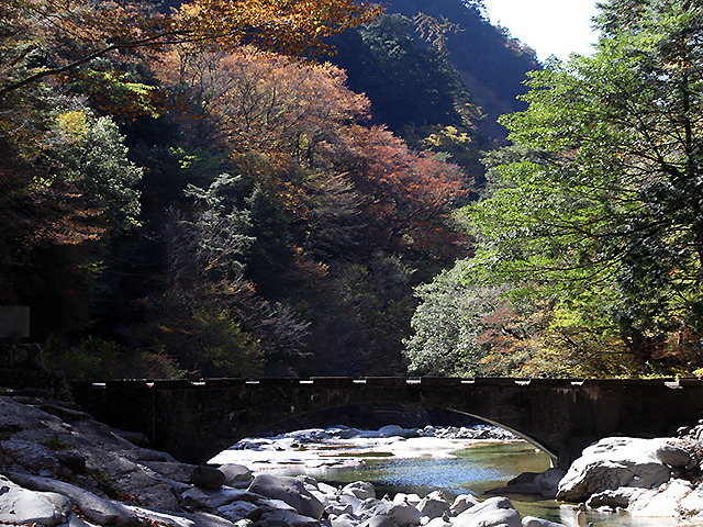 面河渓谷紅葉写真