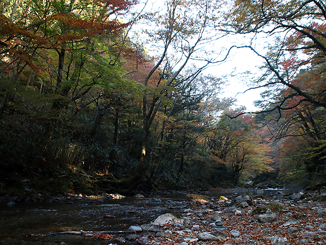 小田深山渓谷の紅葉写真