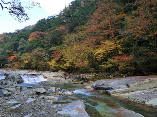 面河渓谷