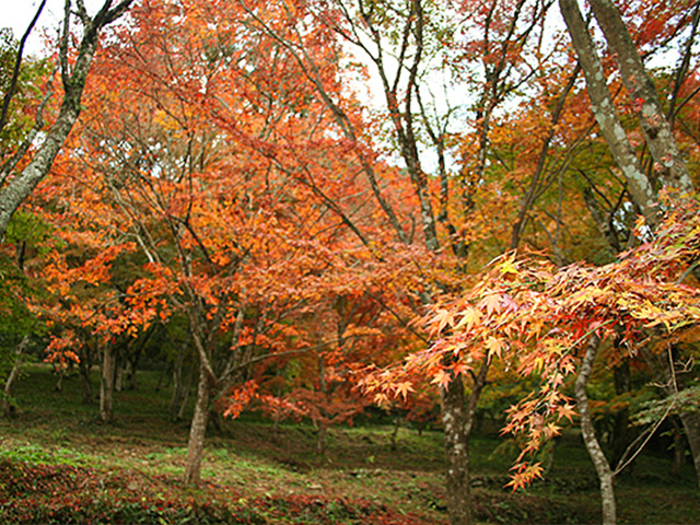 稲荷山公園