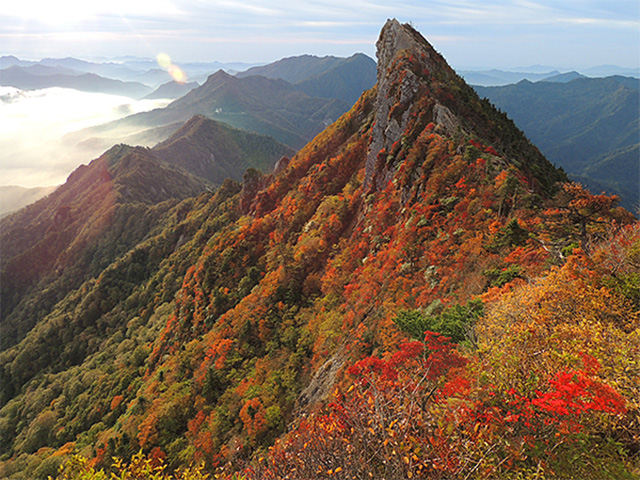 紅葉イメージ