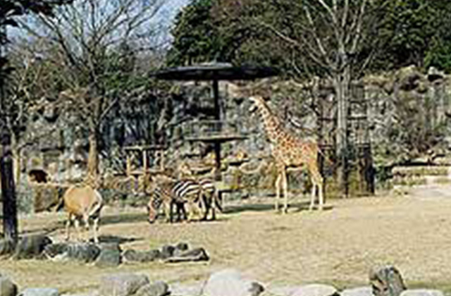 愛媛県立とべ動物園