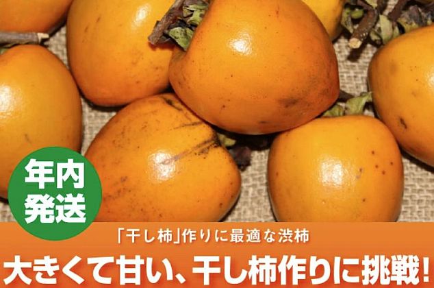 干し柿用 愛宕柿 写真