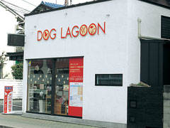 DOG LAGOON