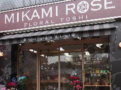 バラ専門店 MIKAMI　ROSE　Floral　Toshi