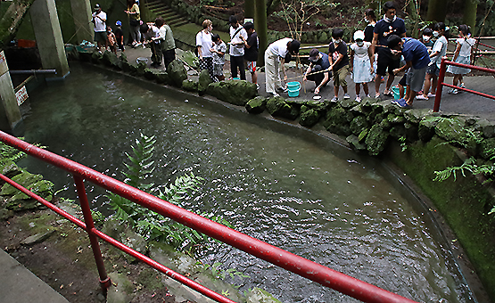 平家谷そうめん流し ニジマス釣りの風景写真