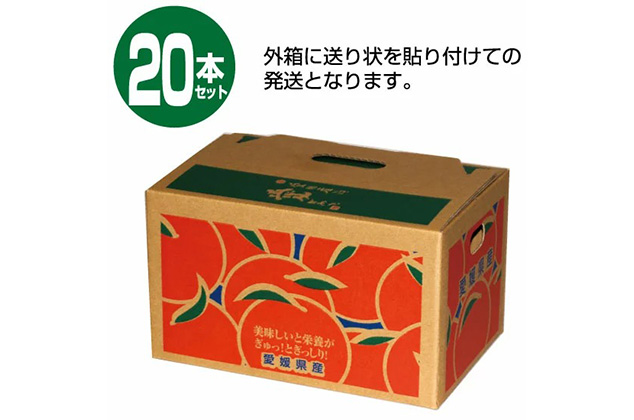 極々果実 旬のちゅうちゅうゼリー 20本入