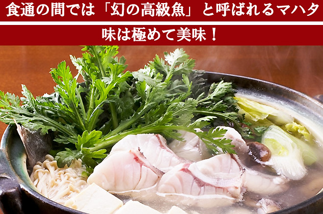 高級魚マハタ鍋用パック／550g（3～5人分）
