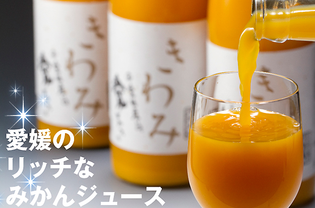 無添加ストレートジュース「きわみ」３本セット（780ml×3本）