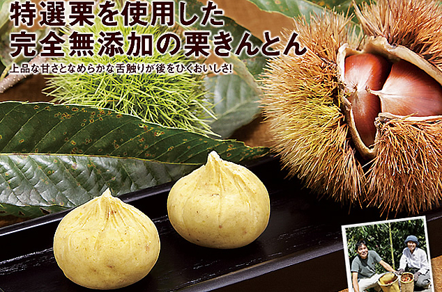 栗きんとん6個入/奥伊予の城川和栗