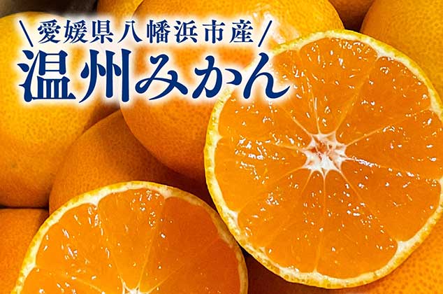 温州みかん 3kg~10kg/ 愛媛県 八幡浜産